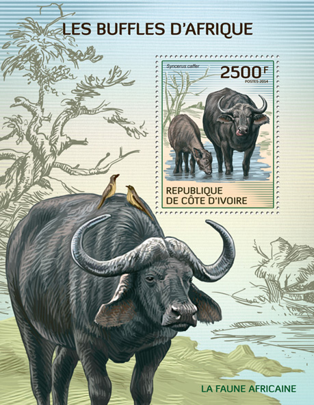 Buffalos - Issue of Ivory Coast postage stamps