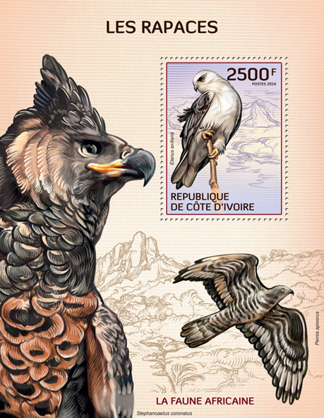 Raptors - Issue of Ivory Coast postage stamps