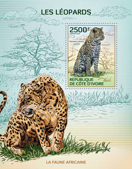 Leopards - Issue of Ivory Coast postage stamps