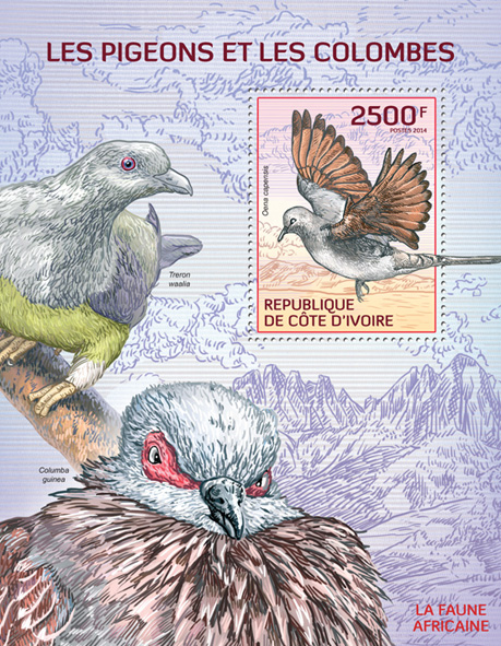 Pigeons and doves  - Issue of Ivory Coast postage stamps